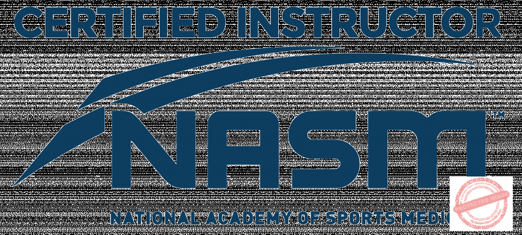 nimble_asset_nasm_optimized